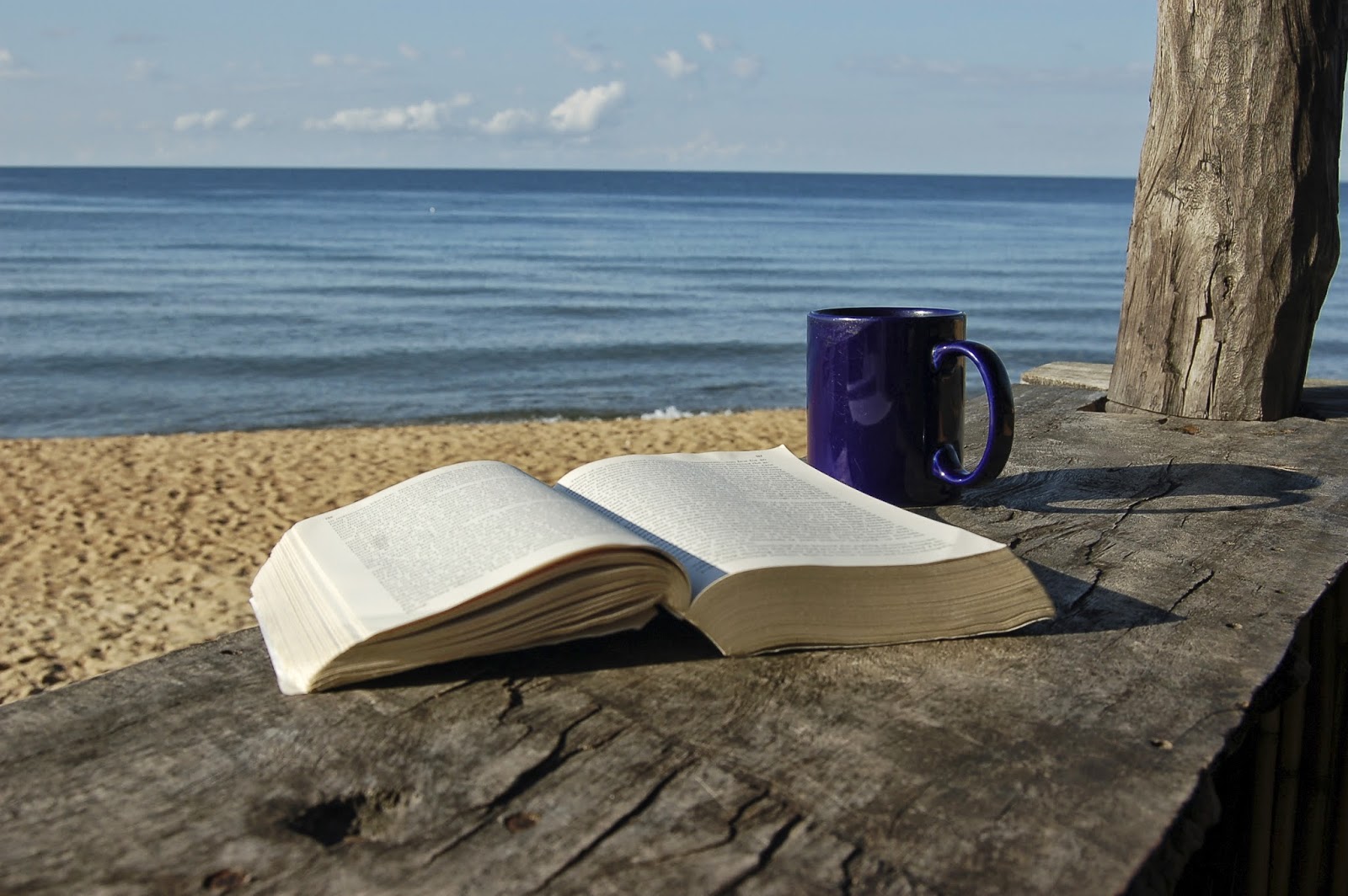 beach-book-coffee-mug