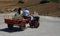 Karpathos: Always on My Mind!