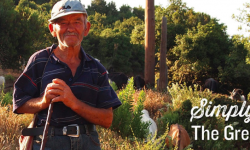 Grecia: 10 Info tra stranezze e curiosità!