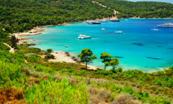 Promo My Greek Salad per scoprire l’Atene autentica!