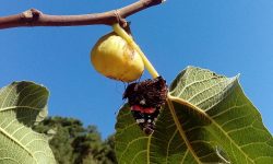 Dedicato a tutti quelli che vogliono scappare…