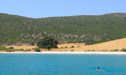 In Barca a vela per nuotare da soli in una Baia Deserta… Gallery per voi