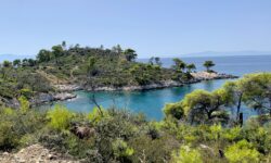 Astypalea, Naxos, Skopelos: quale scegliere?