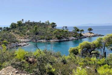 Astypalea, Naxos, Skopelos: quale scegliere?